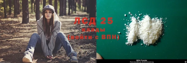 ГАЛЛЮЦИНОГЕННЫЕ ГРИБЫ Лиски