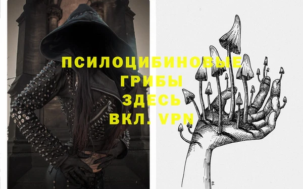 молекула духа Абинск
