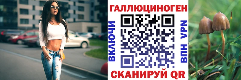где купить наркоту  Кызыл  Галлюциногенные грибы Psilocybe 