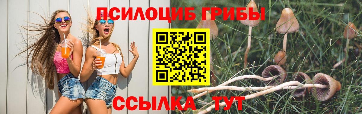 Кызыл  Псилоцибиновые грибы Cubensis  Галлюциногенные грибы мицелий  Вход с VPN 